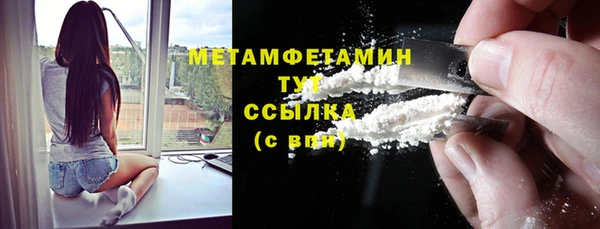 ГАЛЛЮЦИНОГЕННЫЕ ГРИБЫ Богданович