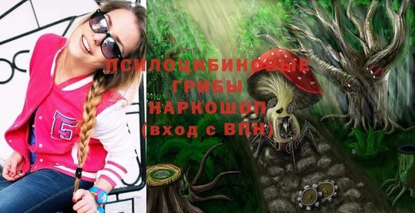 дживик Белоозёрский