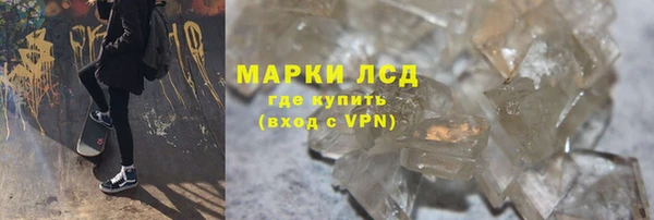 ГАЛЛЮЦИНОГЕННЫЕ ГРИБЫ Богданович