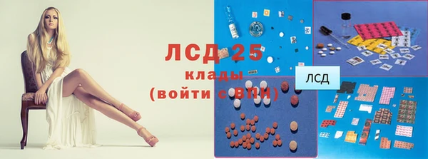 СК Белокуриха