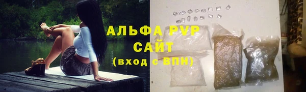 ГАЛЛЮЦИНОГЕННЫЕ ГРИБЫ Богданович