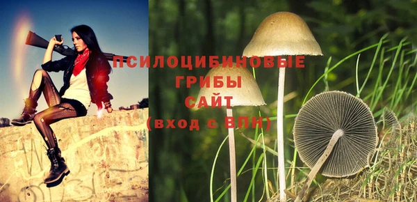 СК Белокуриха