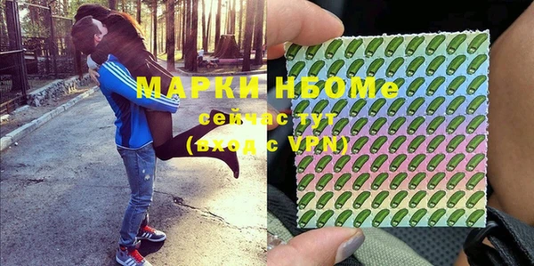ГАЛЛЮЦИНОГЕННЫЕ ГРИБЫ Богданович