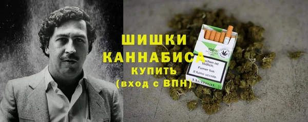 PSILOCYBIN Богородск