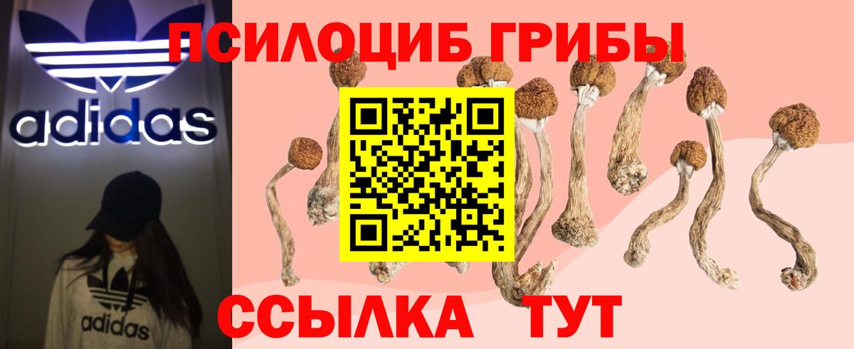 Галлюциногенные грибы GOLDEN TEACHER  Вход с VPN  Гай 